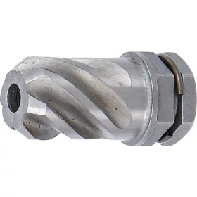 BGS dörzsár a BGS 65520-hez Ø 15 mm, Hossz 23 mm