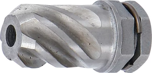 BGS dörzsár a BGS 65520-hez Ø 15 mm, Hossz 23 mm