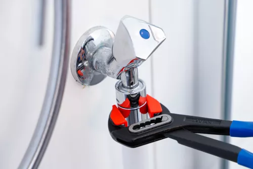 BGS vízpumpafogó beállítható védőpofákkal 240 mm