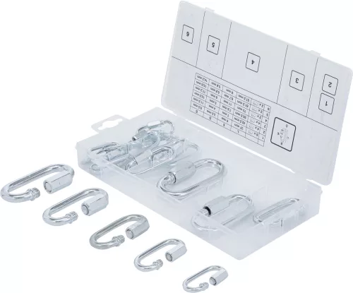 BGS csavaros karabiner készlet 20 darabos