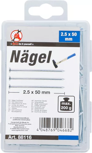 BGS szög-készlet 200 g 2,5 x 50 mm