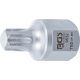 BGS bordásszíj-behajtófej 12,5 mm (1/2"), külső hatszögletű 22 mm T-profil (Torx) T60