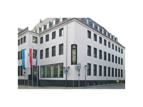 Műanyag dübel csavarral R 10-80 TX (5 db/cs)