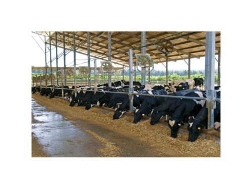 Alapcsavar BAZ 8-72/10 (2 db/cs)