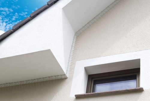 Madarak elleni védő tüskék, 50x11 cm, 1 darab