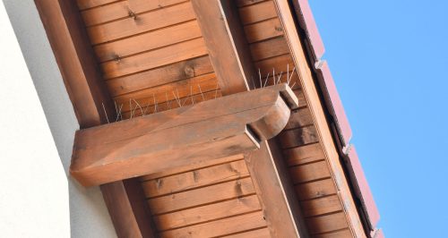 Madarak elleni védő tüskék, 50x11 cm, 1 darab