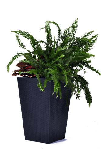 KETER RATTAN PLANTER M MŰRATTAN VIRÁGLÁDA 55,4L - Grafit