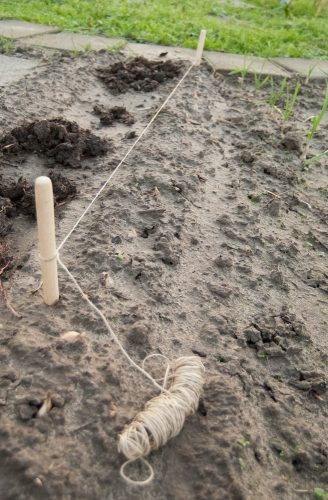 NATURE Ültető szett, fából magasság:30cm átm.18mm-20m