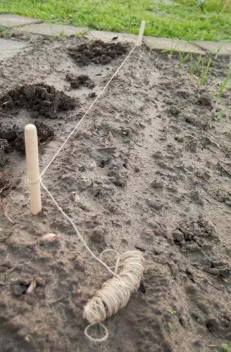 ültető szett, fából magasság:30cm átm.18mm-20m