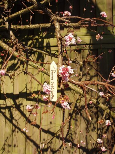 jeltábla fából sárga szín huzallal, 10cm, 15db-os szett