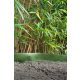 gyökérvédelem PP 75 cm*2,5 m 225 g/m2