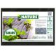 NATURE Takarófólia SALÁTÁHOZ fekete 20 mikron 45x60mm-0,95x5m, ültetési lyukakkal