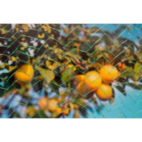 madárháló 5x2m