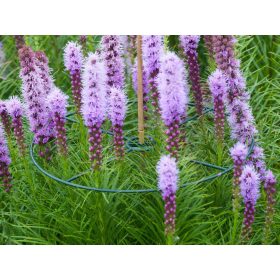 virágtartó gyűrű vario 3 db