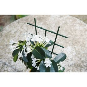 viráglétra 37x23 cm 2 db