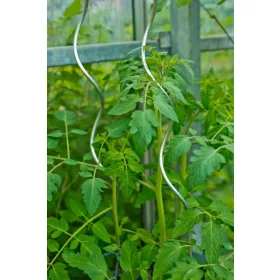 paletta Paradicsom futtató galvanizált, 1,8m átm.6,8mm