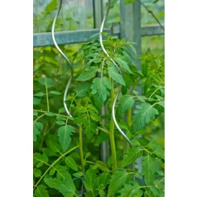 paradicsom futtató galvanizált, 1,5m átm.6,8mm