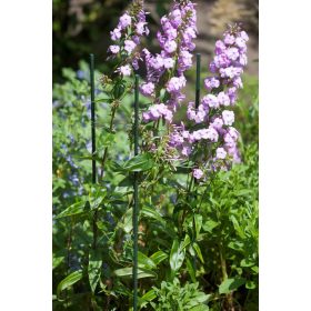 műanyag növénytámasz d 11mm, 120 cm mm