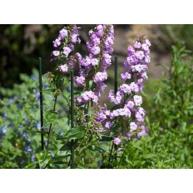 műanyag növénytámasz d11mm, 150 cm