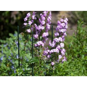 műanyag növénytámasz d18mm, 180 cm