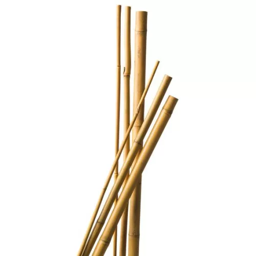 bambusz növénytámasz 10db d6-8 mm, 60cm natúr