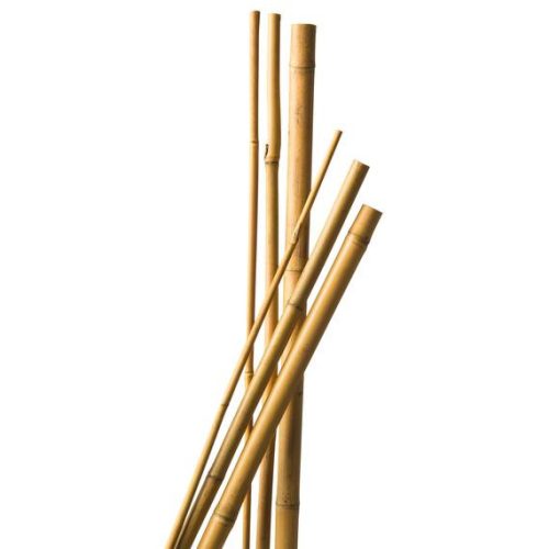 bambusz növénytámasz 5 db, d10-12mm 120 cm natúr