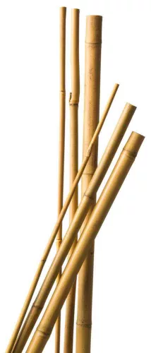 bambusz növénytámasz 4 db d12-14mm, 150 cm natúr