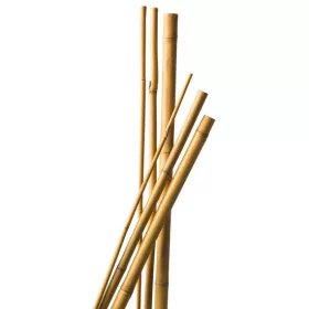 bambusz növénytámasz 3 db 240 cm natur18/20 mm
