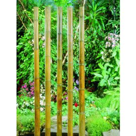 bambusz növénytámasz natúr 50cm átm.4-4,5mm 10db-os szett