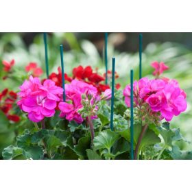 bambusz növénytámasz zöld 50cm átm.4-4,5mm 10db-os szett