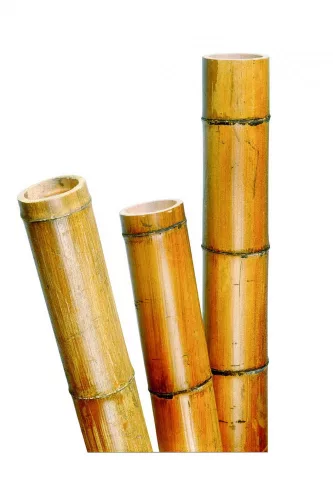 bambusz növénytámasz d 75-85mm, 270 cm