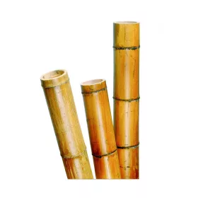 bambusz növénytámasz vastag 300cm,50/60 mm