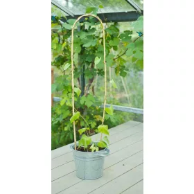 bambusznád hajlított natúr H60cm Ø8-10mm szett 3 db-os