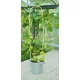 bambusznád hajlított natúr H60cm Ø8-10mm szett 3 db-os