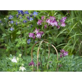 bambusznád hajlított natúr H180cm Ø16-18mm szett of 3 db-os