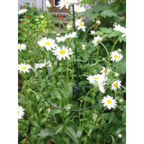 műanyag növénytámasz, kerek 22cm