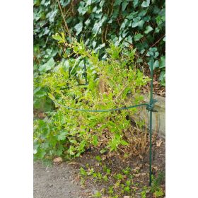 műanyag növénytámasz, félkör 4,5 mm x 45 cm