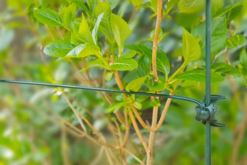 műanyag növénytámasz, félkör 4,5mmx45cm