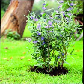 növénytámasz 45x120cm