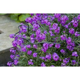 növénytámasz 6mm with shell edge zöld H60x30x18cm