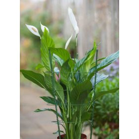 virágtámasz, műanyaggal bevont fém,zöld,60cm átm.7mm+3db gyűrű átm.18-20-22cm