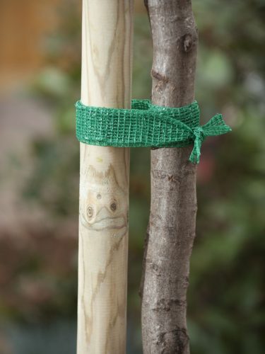 fatörzs rögzítő 4cm x 2m - 5db/karton