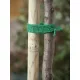 fatörzs rögzítő 4cm x 2m - 5db/karton