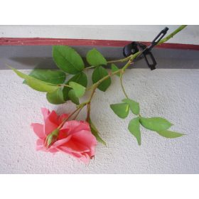 futónövényrögzítő 150cm