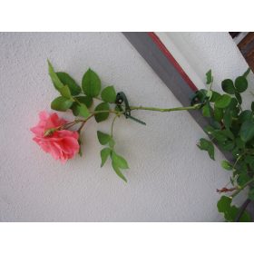 futónövény rögzítő zöld 25/45mm 6 db