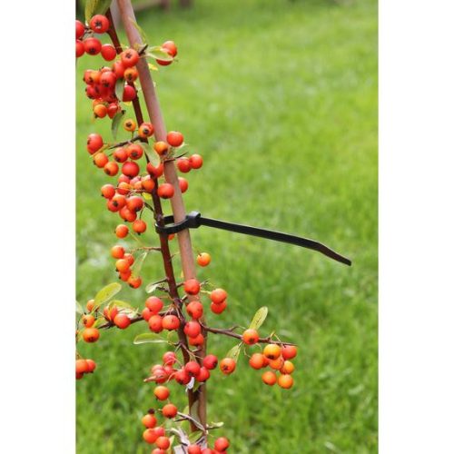 rögzítő műanyag 30cm, 25db-os szett fekete