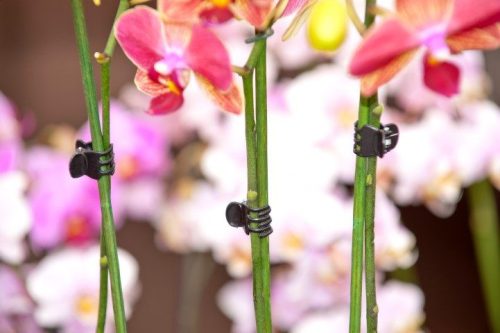 orchidea rögzítő fekete 10db-os szett