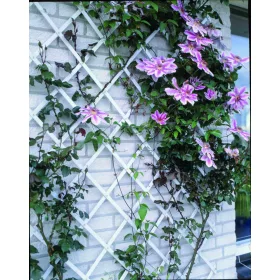 színezett műanyag futtatórács fehér50x150cm