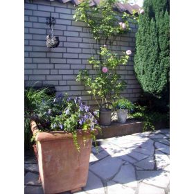 metal futtató horganyzott V alakú 145x5/75 cm