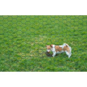 hexaplast drótkerítés, zöld 13x13mm, 50cmx2,5m